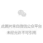 中合育才军旅夏令营.jpg
