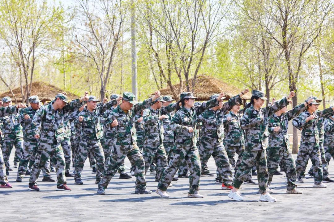 中合育才拓展培训
